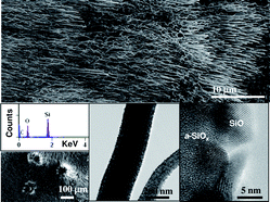 Graphical abstract: Carbon-assisted lateral self-assembly of amorphous silica nanowires