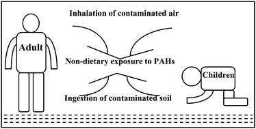 Graphical abstract: Occurrence and human non-dietary exposure of polycyclic aromatic hydrocarbons in soils from Shenzhen, China