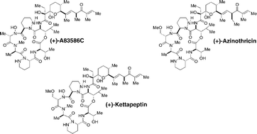 Graphical abstract: Total synthesis of (+)-A83586C, (+)-kettapeptin and (+)-azinothricin: powerful new inhibitors of β-catenin/TCF4- and E2F-mediated gene transcription