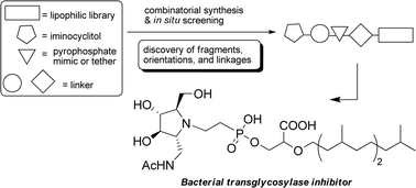 Graphical abstract: Combinatorial approach toward synthesis of small molecule libraries as bacterial transglycosylase inhibitors