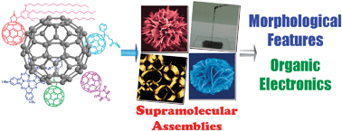 Graphical abstract: Recent progress in morphology control of supramolecular fullerene assemblies and its applications