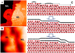 Graphical abstract: Dynamic observation of layer-by-layer growth and removal of graphene on Ru(0001)