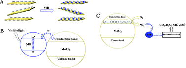 Graphical abstract: Single-crystalline orthorhombic molybdenum oxide nanobelts: synthesis and photocatalytic properties