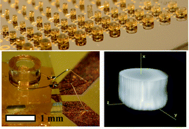 Graphical abstract: On-chip three dimensional microcoils for MRI at the microscale