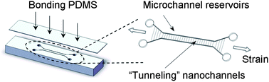 Graphical abstract: Instantaneous fabrication of arrays of normally closed, adjustable, and reversible nanochannels by tunnel cracking
