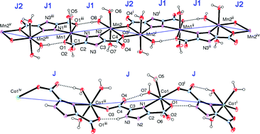 Graphical abstract: Synthesis and characterisation of Mn(ii), Co(ii) and Cd(ii) coordination polymers of 1,2,4-triazole-3, 5-dicarboxylic acid