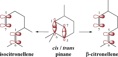 Graphical abstract: Quantum chemical investigation of the thermal rearrangement of cis- and trans-pinane
