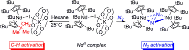Graphical abstract: Non-classical divalent lanthanide complexes
