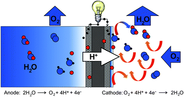 Graphical abstract: A fuel cell that runs on water and air