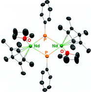 Graphical abstract: Neodymium(iii) phosphinidene complexes supported by pentamethylcyclopentadienyl and hydrotris(pyrazolyl)borate ligands