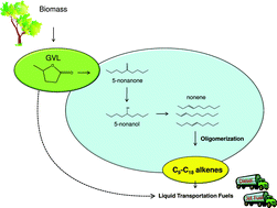 Graphical abstract: Production of liquid hydrocarbon transportation fuels by oligomerization of biomass-derived C9 alkenes