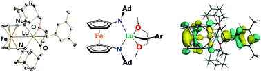 Graphical abstract: Reactions of aromatic N-heterocycles with a lutetium benzyl complex supported by a ferrocene-diamide ligand