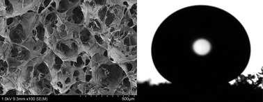 Graphical abstract: Aerogels from nanofibrillated cellulose with tunable oleophobicity