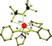 Graphical abstract: Syntheses and structures of bora-amidinate lanthanide(iii) complexes