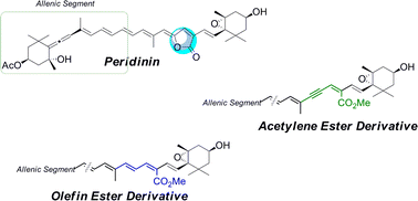 Graphical abstract: Syntheses of ylidenbutenolide-modified derivatives of peridinin and their stereochemical and spectral characteristics