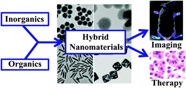 Graphical abstract: Hybrid nanomaterials for biomedical applications