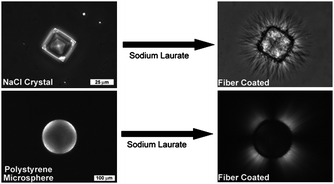 Graphical abstract: Assembly of sodium soap fibers and fibrillar particles triggered by dissolution of sodium chloride crystals
