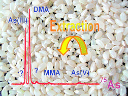 Graphical abstract: Quantitative chemical extraction for arsenic speciation in rice grains