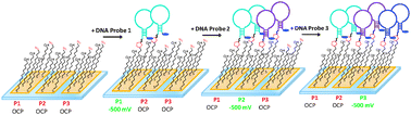 Graphical abstract: Fabrication of an electrochemical DNA sensor array via potential-assisted “click” chemistry