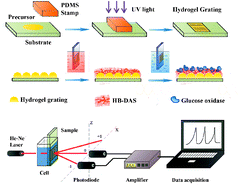 Graphical abstract: Diffraction grating of hydrogel functionalized with glucose oxidase for glucose detection