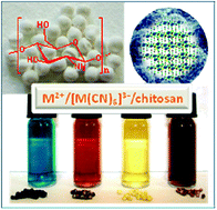 Graphical abstract: Synthesis and studies of water-soluble Prussian Blue-type nanoparticles into chitosan beads