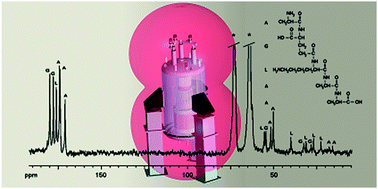 Graphical abstract: A dedicated spectrometer for dissolution DNP NMR spectroscopy