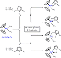 Graphical abstract: A DFT study of the reactivity of actinidocenes (U, Np and Pu) with pyridine and pyridine N-oxide derivatives