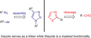 Graphical abstract: Heterocycles in organic synthesis: thiazoles and triazoles as exemplar cases of synthetic auxiliaries