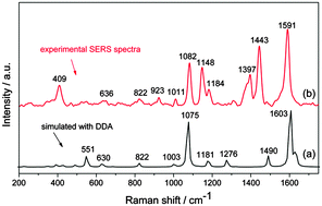 Graphical abstract: Surface-enhanced Raman spectroscopy with self-assembled cobalt nanoparticle chains: Comparison of theory and experiment