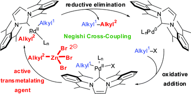 Graphical abstract: On the role of additives in alkyl–alkyl Negishi cross-couplings