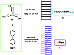Graphical abstract: Synthesis and analysis of hydroxyl substituted triptycene adducts: the competitive recognition between the hydroxyl substituted triptycenes with 4, 4′-bipyridine and solvent molecules