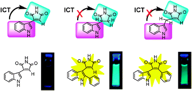 Graphical abstract: Fluorescence and chemiluminescence properties of indolylmaleimides: experimental and theoretical studies