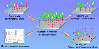 Graphical abstract: Chemically assembled monolayers of fluorophores as chemical sensing materials