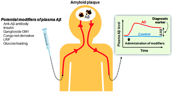 Graphical abstract: Plasma β-amyloid as potential biomarker of Alzheimer disease: possibility of diagnostic tool for Alzheimer disease
