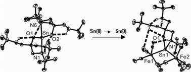 Graphical abstract: The synthesis and reaction chemistry of new amino-functionalised tin(ii) alkoxides