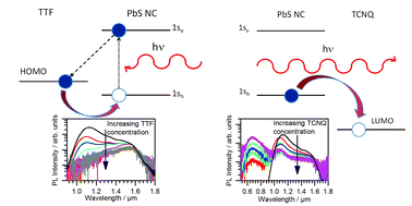 Graphical abstract: Charge transfer in hybrid organic–inorganic PbS nanocrystal systems