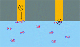 Graphical abstract: Voltammetric behaviour of biological macromolecules at arrays of aqueous|organogel micro-interfaces