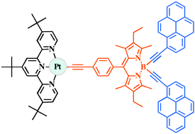 Graphical abstract: Hybrid complexes: Pt(ii)-terpyridine linked to various acetylide-bodipy subunits