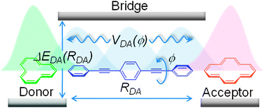 Graphical abstract: Excitation energy transfer in donor–bridge–acceptor systems