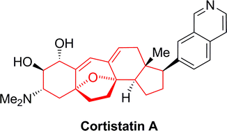 Graphical abstract: Chemistry of the cortistatins–a novel class of anti-angiogenic agents