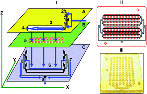 Graphical abstract: ELISA-LOC: lab-on-a-chip for enzyme-linked immunodetection