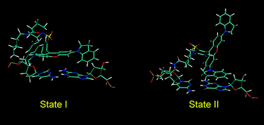 Graphical abstract: A comparative study of the binding of QSY 21 and Rhodamine 6G fluorescence probes to DNA: structure and dynamics