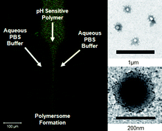 Graphical abstract: Polymersome production on a microfluidic platform using pH sensitive block copolymers