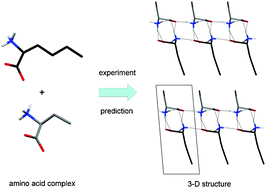 Graphical abstract: Pseudoracemic amino acid complexes: blind predictions for flexible two-component crystals