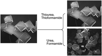 Graphical abstract: Probing the influence of electronic effects of organic additives on the morphology of sodium chloride crystals: a combined experimental and computational study