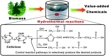 Graphical abstract: Rapid and highly selective conversion of biomass into value-added products in hydrothermal conditions: chemistry of acid/base-catalysed and oxidation reactions