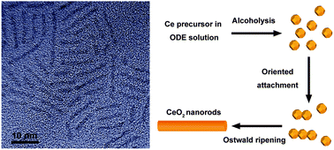 Graphical abstract: Facile synthesis and characterization of ultrathin cerium oxide nanorods