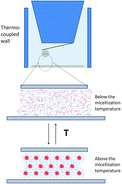 Graphical abstract: Tuning structural forces between silica surfaces by temperature-induced micellization of responsive block copolymers