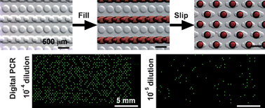 Graphical abstract: Digital PCR on a SlipChip