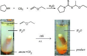 Graphical abstract: Synthesis of dithiocarbamate by Markovnikov addition reaction in aqueous medium